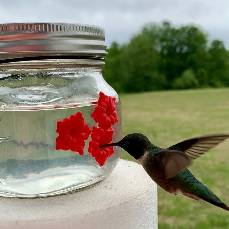 beautiful mason jar hummingbird feeder wthree portsiansh