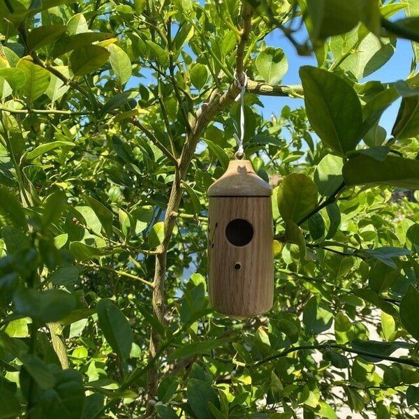 wooden hummingbird housebq4by